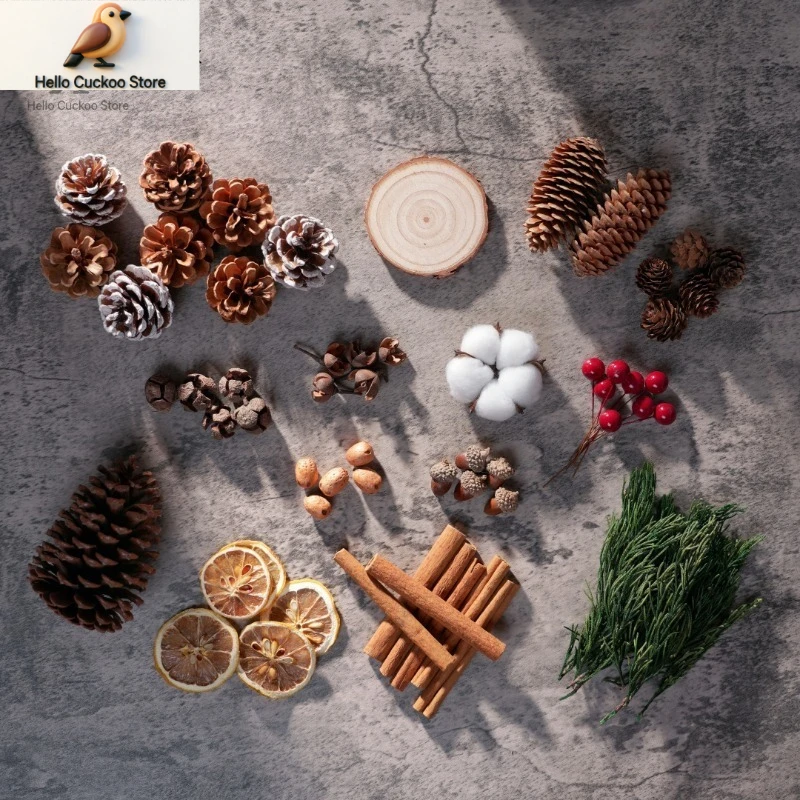 Dried Fruit Mix - أكواز الصنوبر، رقائق الخشب، زهور مجففة،