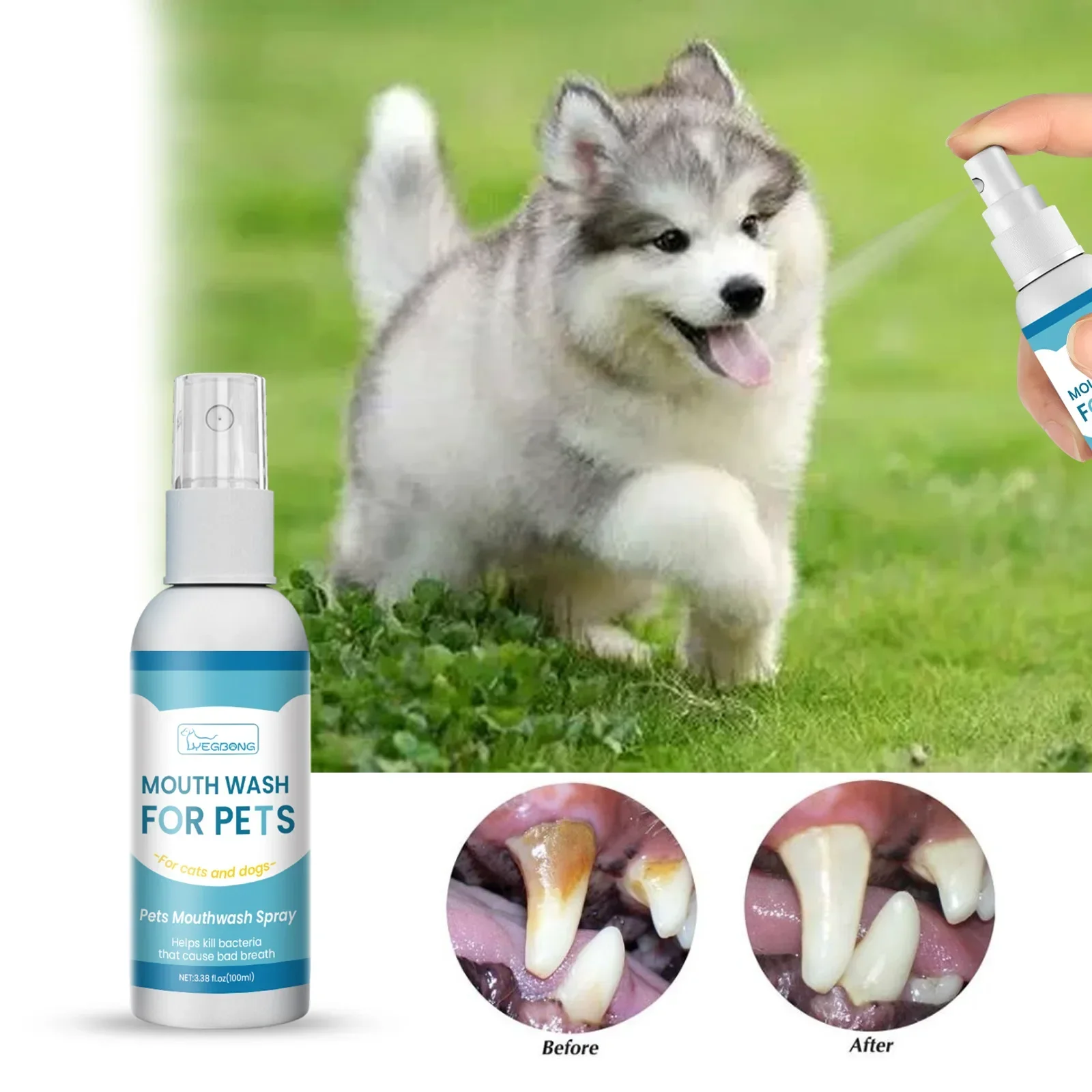 Spray de limpieza Oral para mascotas, desodorante para limpieza de dientes de perros y gatos, previene el cálculo, elimina el mal aliento del gatito, suministros para el cuidado de los dientes de mascotas, 100ml