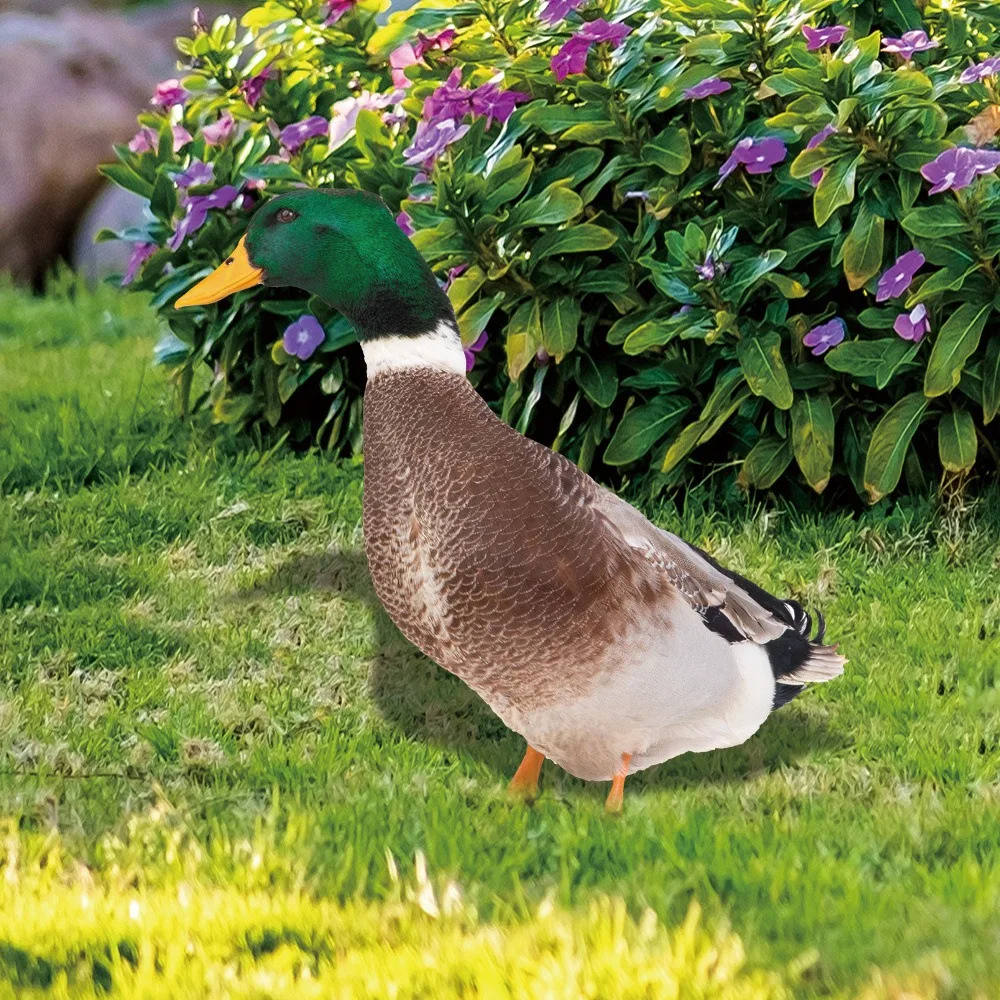 Garden Duck Statue 2D Acrylic Wild Duck Sculpture For Yard Decor Double-Sided Printing Weatherproof Duck Figurine For Farm