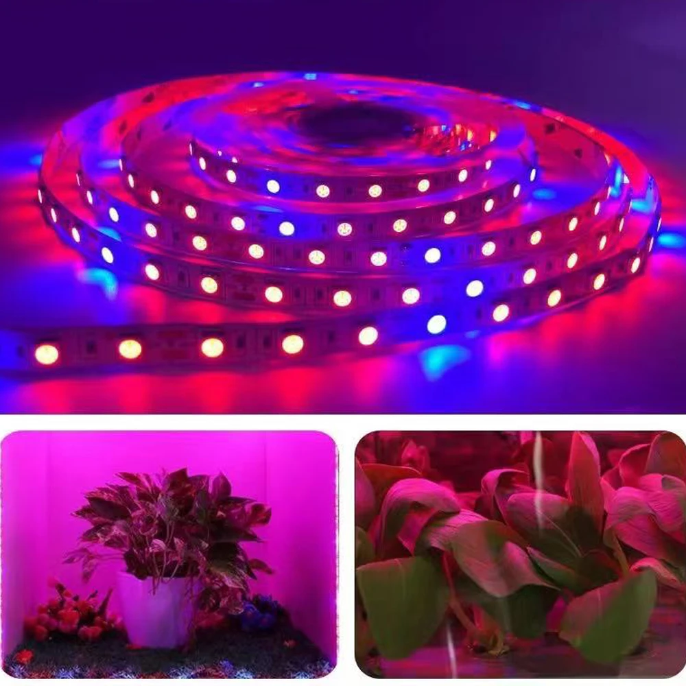 20M LED Grow Light Spectrum DC12V USB Grow Light Strip LED Phyto Lamp For Plants Greenhouse Hydroponic Growing power supply Full