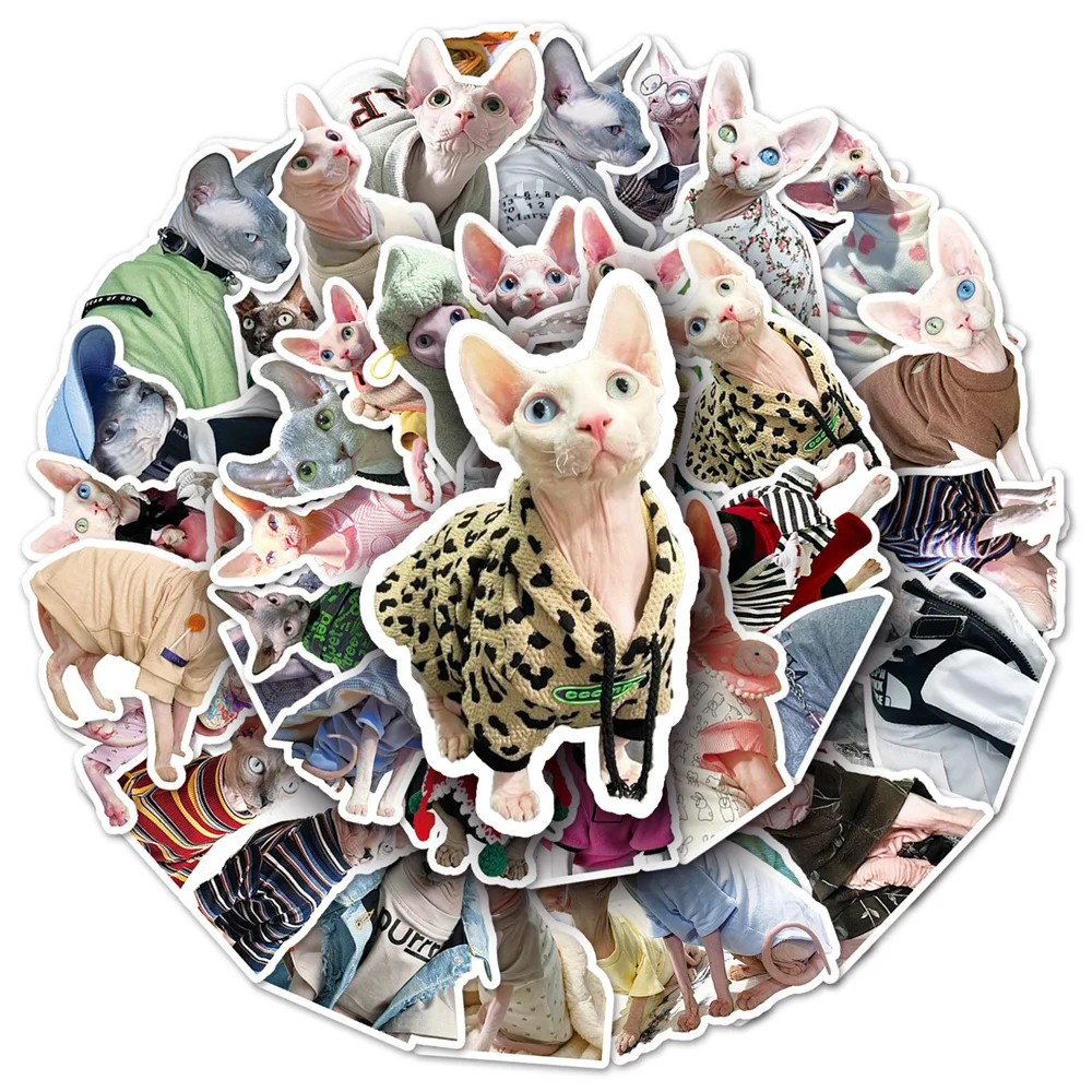 50pcs Cool Hairless Cat Sphynx Sticker For Children Scrapbook Guitar Stationery Phone Scrapbooking Supplies Stickers For Kids