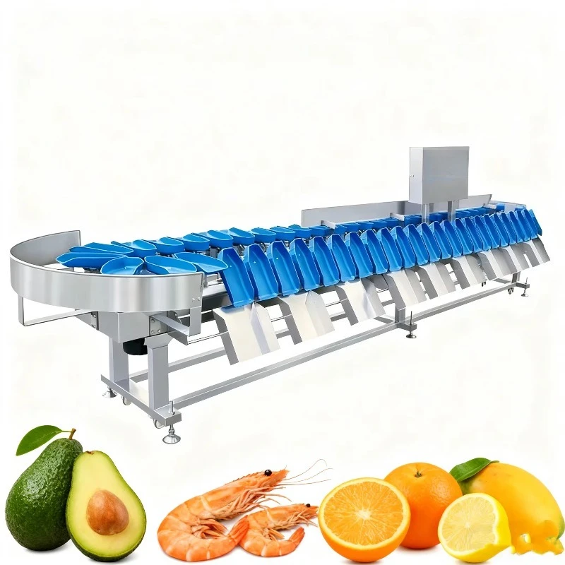 Tray Type Weight Sorting Machine Food Fruit Sorter Classifier Grader Vegetables Seafood Grading Machine for Sale