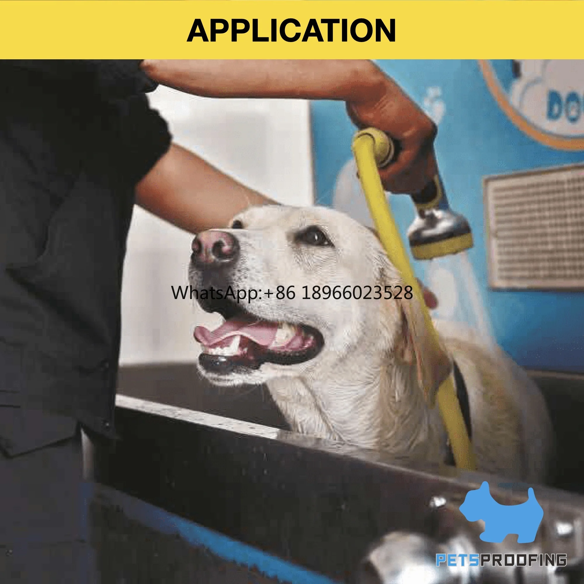 Petsproof harga grosir diskon besar koin otomatis dioperasikan Stainless Steel anjing stasiun cuci diri mesin cuci anjing