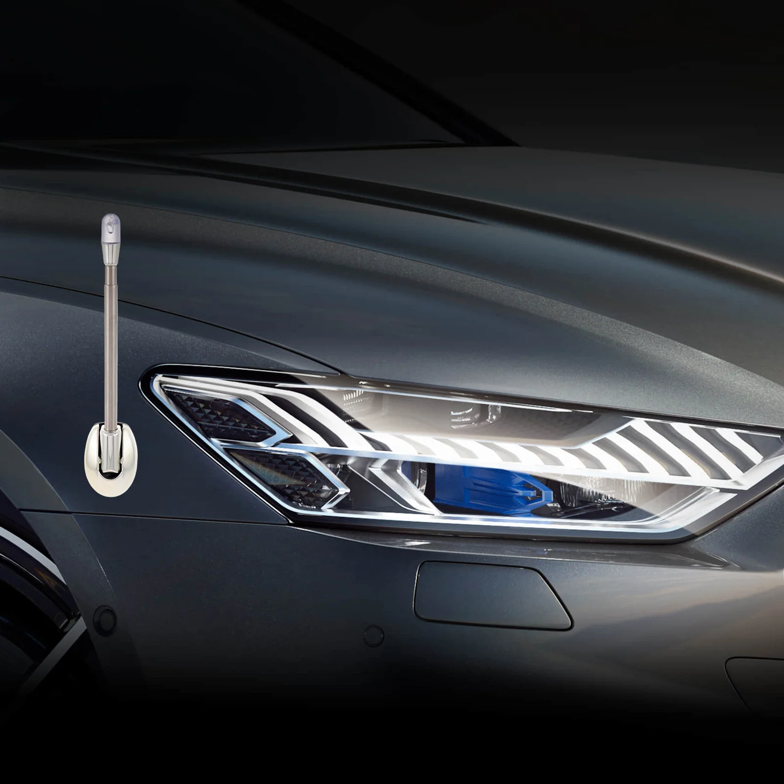 سيارة الوفير ركن هوائي القطب الفضة 16 سنتيمتر قابل للتعديل القيادة وقوف السيارات ماركر دليل العالمي سيارة سارية علم القطب هوائي الزخرفية