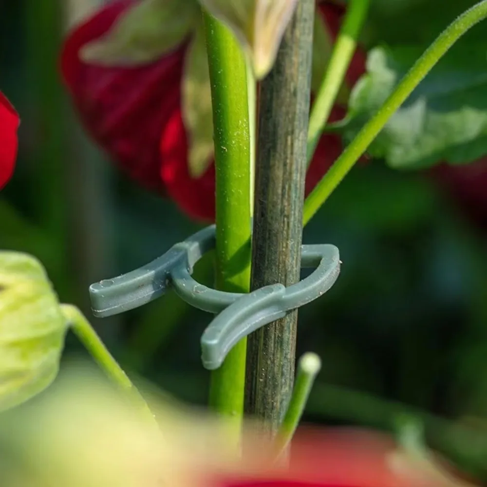 

100PCS New Green Garden Plant Clips Bundle Vine Holder Vertical Plant Holder Plastic Ring Plant Clamp For Vegetable Growing