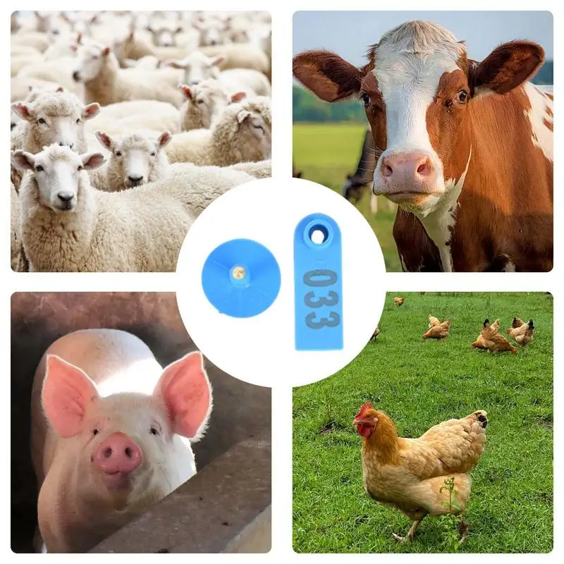 Sheep Ear Tags 100PCS Ear Tags With Numbers Livestock Tagging Tool Wear-Resistant Cattle Ear Tags Cow Ear Tag For Breeding