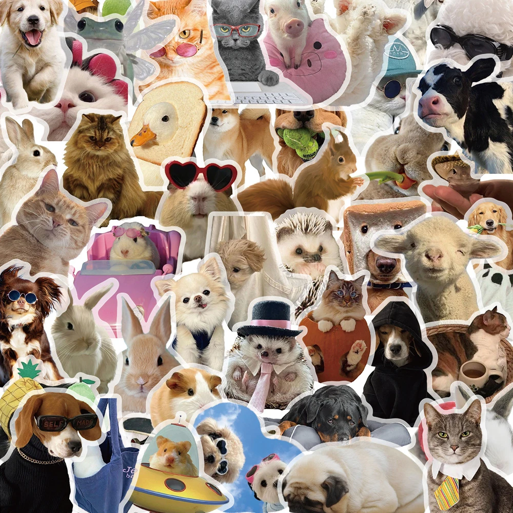 10/30/50pcs Funny Cute Cats Dogs Rabbit Meme Cartoon Stickers for Laptop Luggage Skateboard Waterproof Kawaii Animals Decal Pack