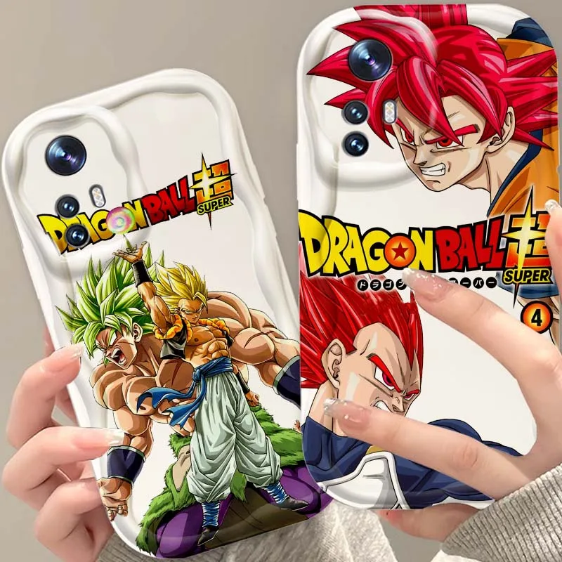 D-Dragon Balls Brol… - image