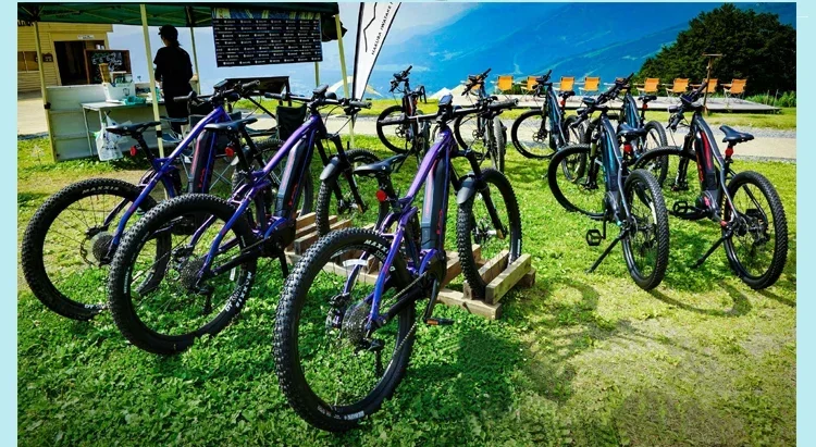 

Mountain road electric bicycle, hydraulic disc brake aluminum frame aluminum alloy frame