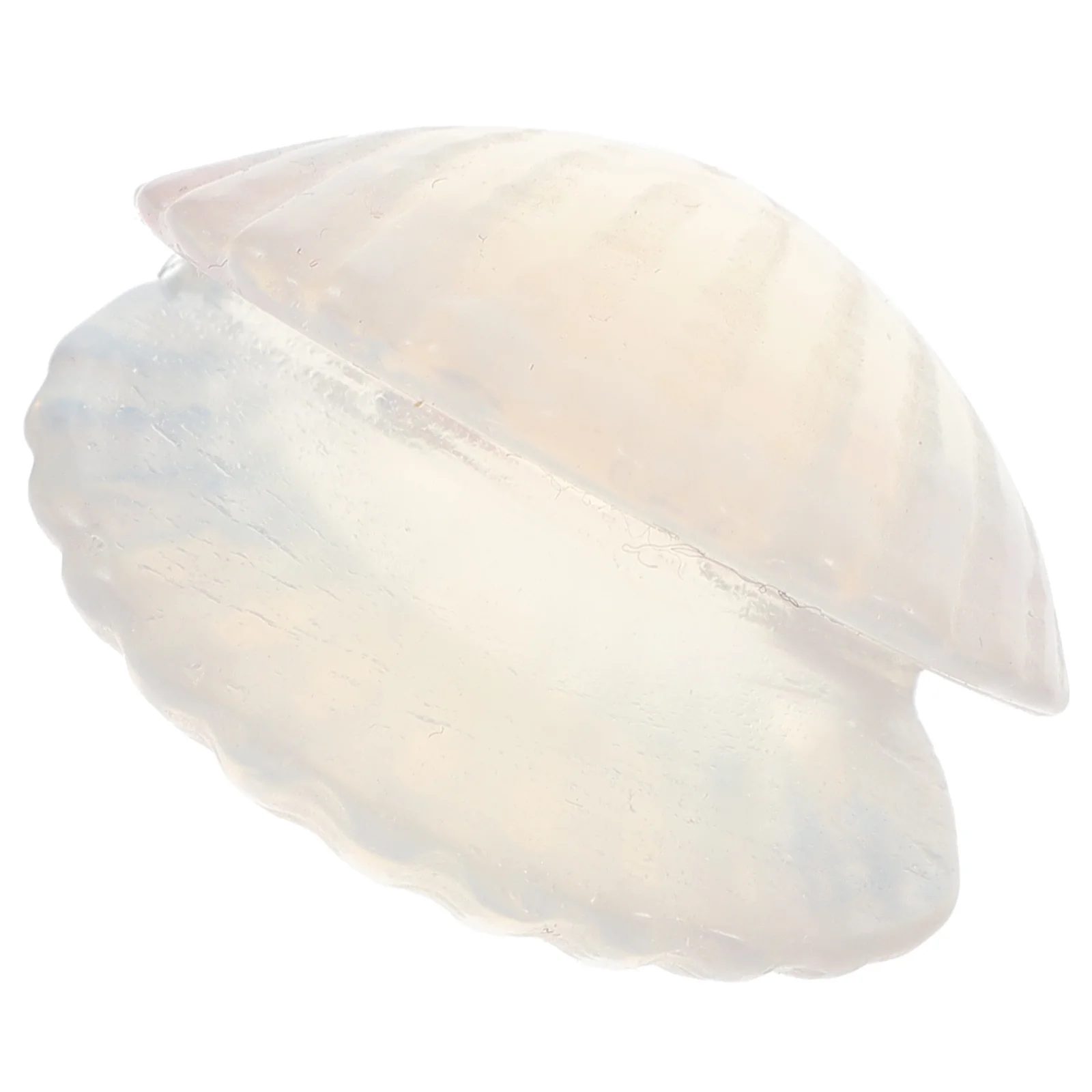 

Seashell Decoration Natural Durable Shell Aquarium Decoration Fish Tank DIY Craft Shells Handmade Sea Shells Home Decor Ornament