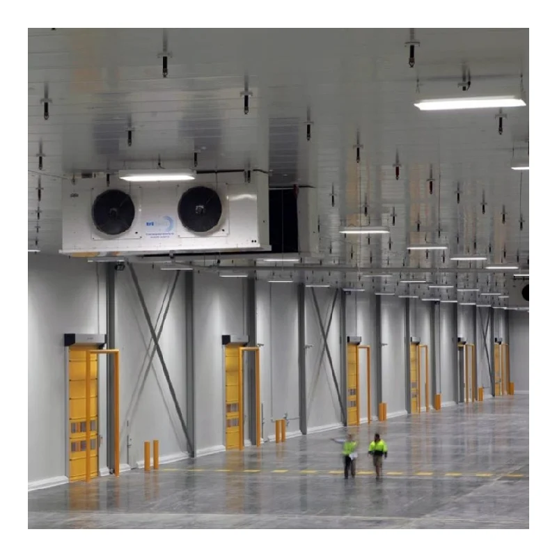 Walk In Cold Room Freezer Chambre Froide With Doors Energy Efficient Cold Storage Room For Commercial Kitchen