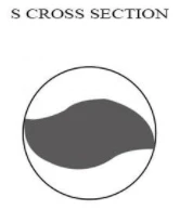 4Pcs/Pack Dental Endo Rotary Files X-TWO S Cross Sectio Endodontic Files n NiTi Root Canal Instrument Tools