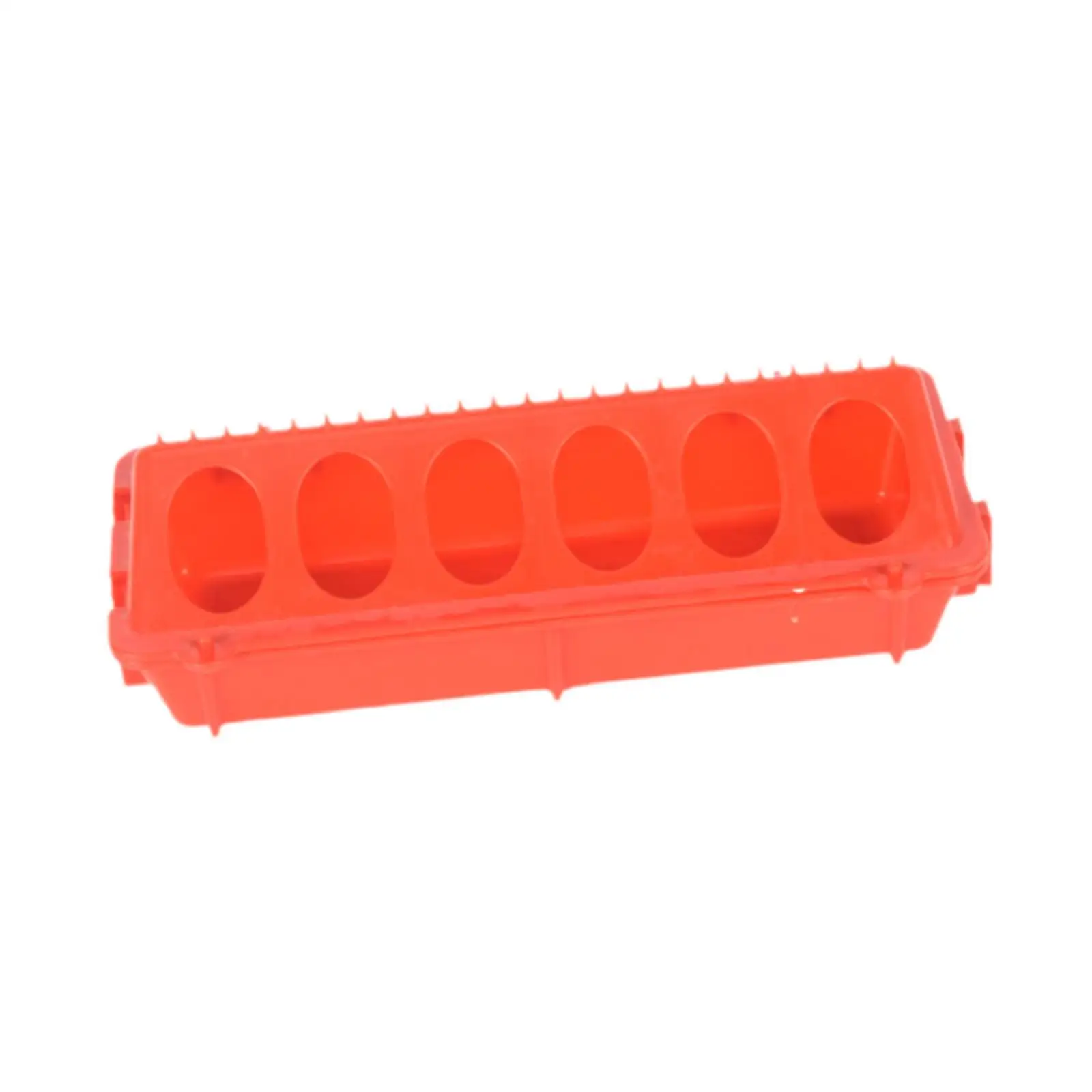 Thickened Poultry Feeder Chicken Feeding Trough Multi Hole PVC Tray for Bird Cage Parrot Pigeon and Quail Use