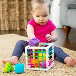 Motor Skills Training  Educational Fun Baby Shape Sorter Cube Toy For Kids!