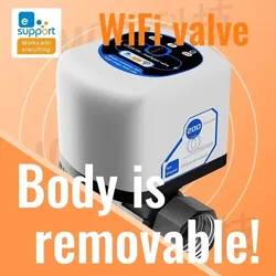 eWelink WIFi intelligent Valve DN15/DN20/DN25 App remote control Works with Salutel/Alex/Alice/Google Assistant/Smart things