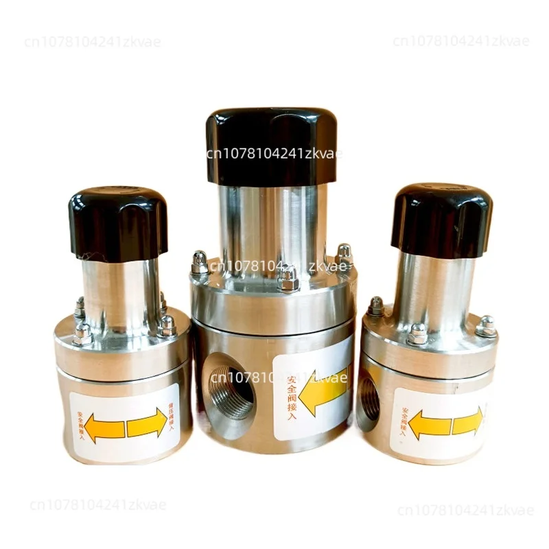 Stainless steel safety valve Back pressure valve One-way pressure relief valve Metering pump