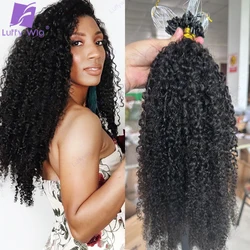 Extensiones de cabello rizado Afro, Micro bucle de doble dibujado, extensiones de cabello humano, microenlace 3C