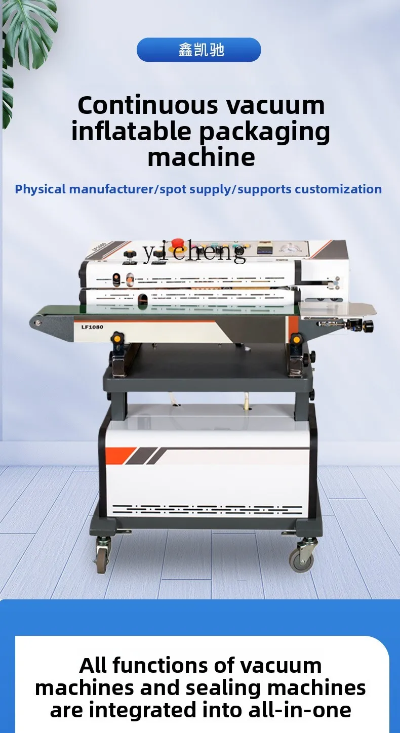 Machine de scellage sous vide continue TQH Machine de scellage sous vide multifonctionnelle Machine de scellage par Extraction