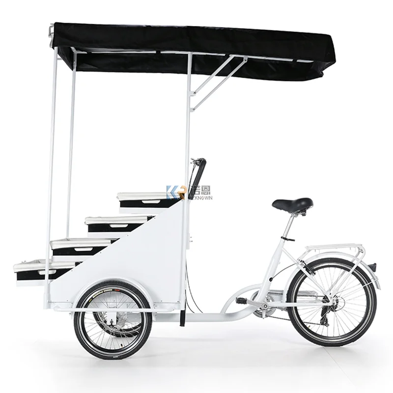 OEM Mobile Food Vending Cart 3 Wheel Coffee Fruit Bike CE Approved Electric Tricycle for Sale Beer Snacks