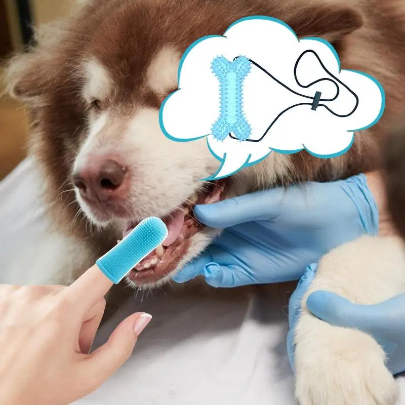 

Dog Tooth Brushing Kit Puppy Tooth Brushing Kit Dog Teeth Wipes With Chew Toys Dog Teeth Cleaning Wipes Pet Supplies For Home