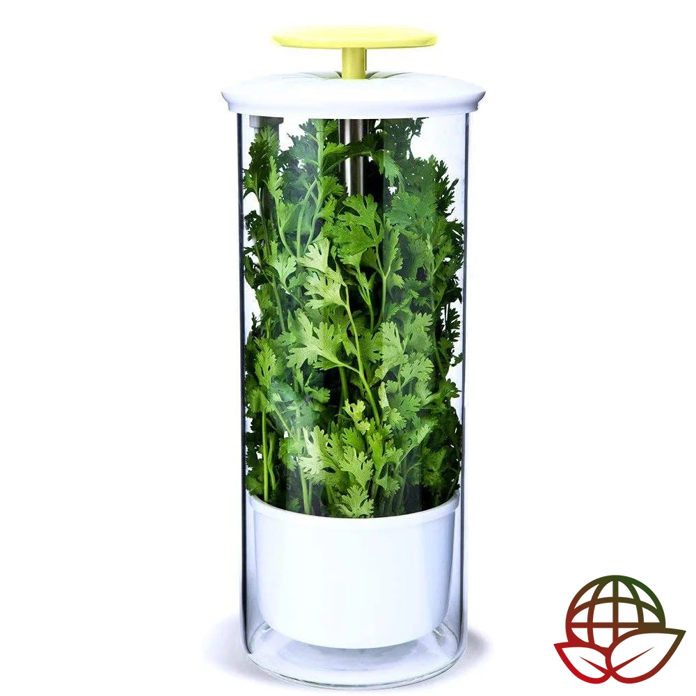 Refrigerator Herb Crisper Saver Pod Container Vegetable Preserving Bottle Keep Herb/Cilantro/Mint/Parsley/Asparagus Fresh Green