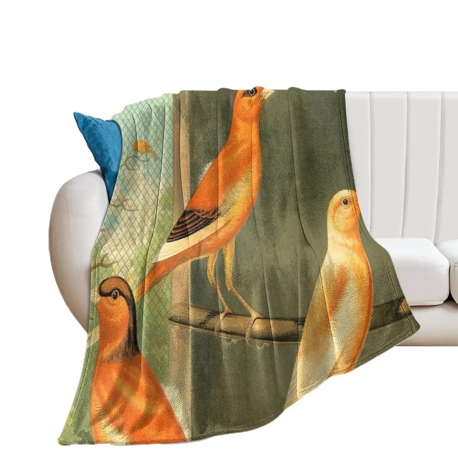 Norwich Canaries Cage Birds Art Prints Old Painting Antique Drawing Throw Blanket Thermal Soft Beds Soft Plush Plaid Blankets