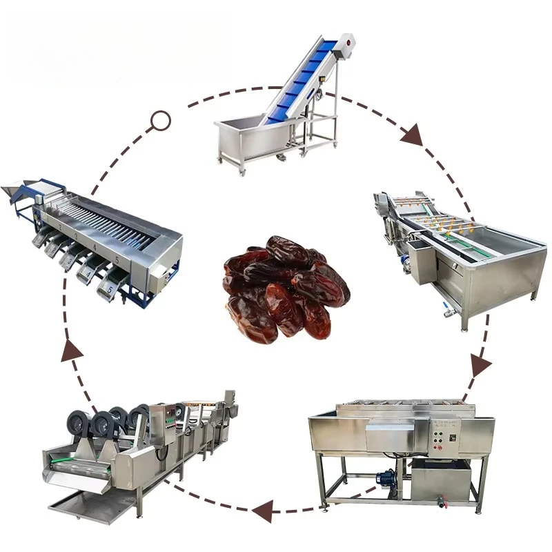 Automatic Dates Sorting, Washing, Grinding & Packing Line | Industrial Palm Dates Processing Machine