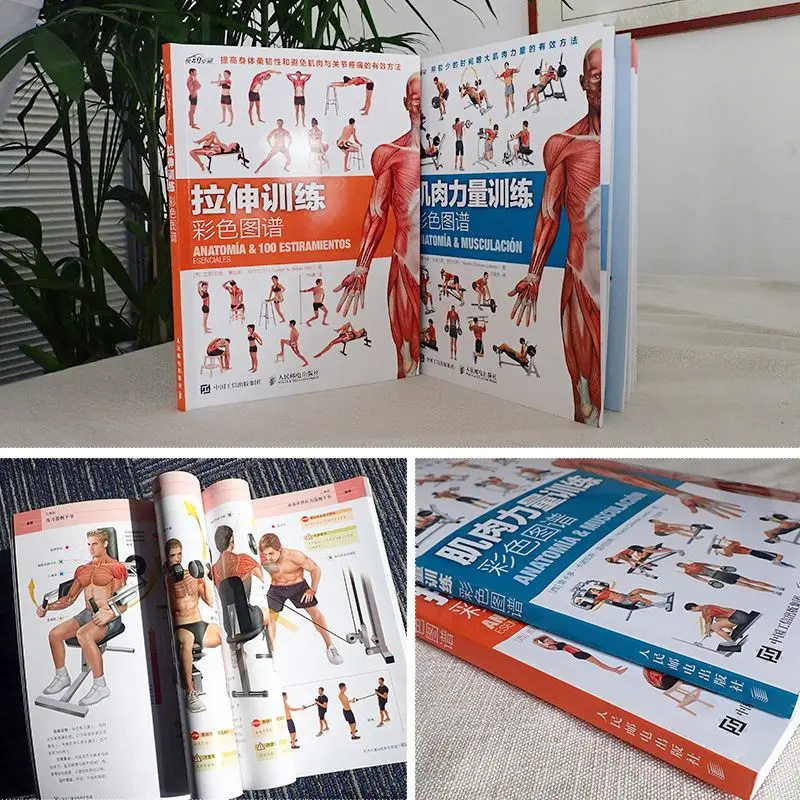 1 book Stretching & Strength Training Anatomy Colored Book Fitness Exercise Guide Book for Bodybuilding