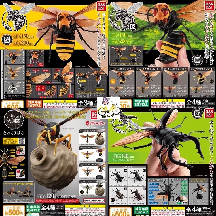 Japanese Bandai Genuine Gacha Scale Model Nsect Biology Map Bumblebee Bee Beetle Insect Cognitive Model Action Figure Toys