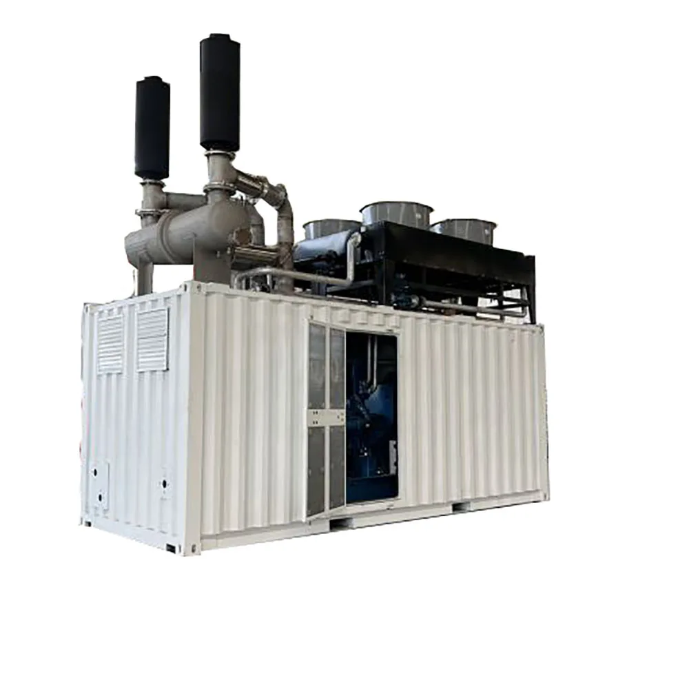 220V Power Elektrische Gas Generator Prijs 750kva Natuurlijke Set