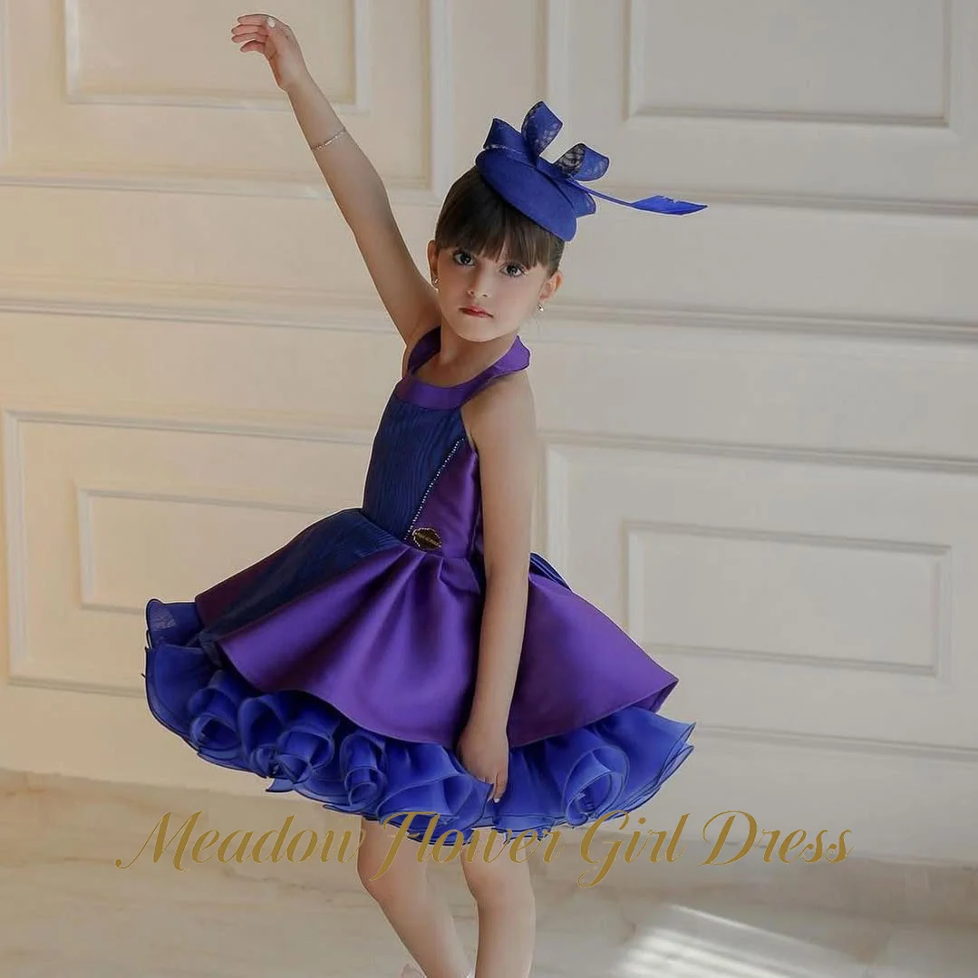 

Meadow Purple and Royal Blue Princess Girls Dress Halter Neckline First Communion Gown Sleeveless Evening Party Dress for Girls
