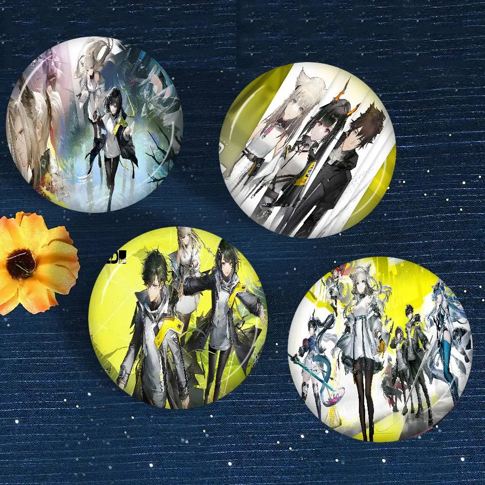 

Popular Game Arknights Endfield Tinplate Soft Button Pin Brooch Metal Badge Custom Jewelry Accessories Hat Bag Lapel