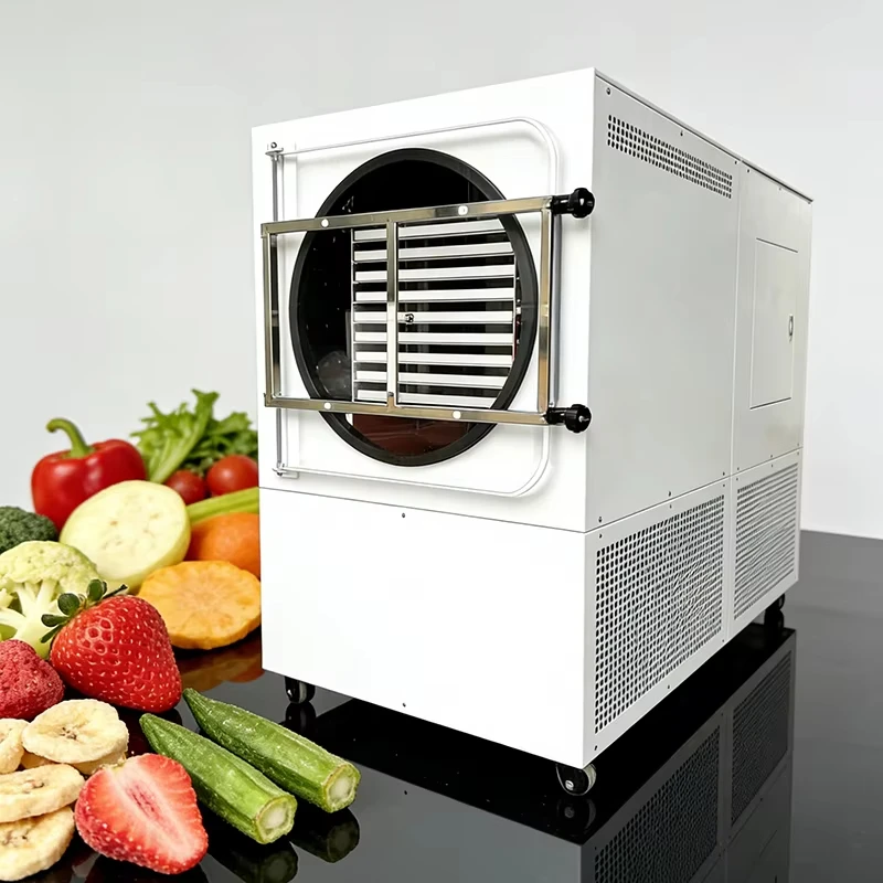 Custom Small Mini Vacuum Freeze Dryer 2kg Freeze Dryer Is Used for Freeze Drying Fruits and Vegetables