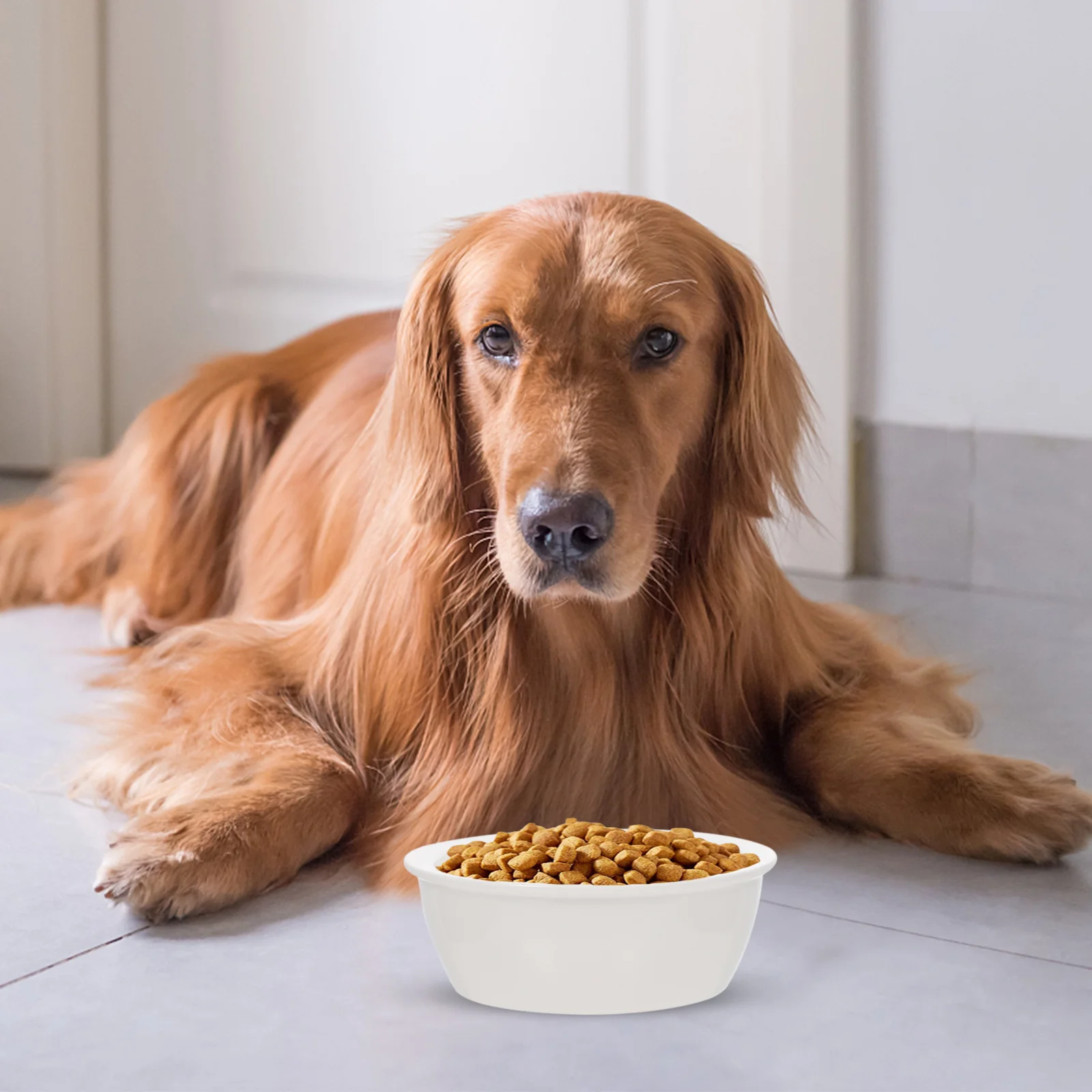 

2 Pcs Practical Feeding Bowl Kitten Feeder Cat Durable Pet Drink Ceramic Drinking Dish