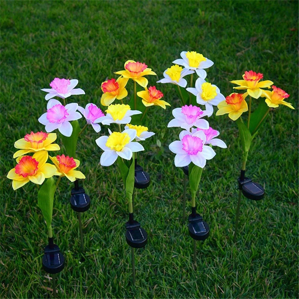 Imagem -04 - Outdoor Daffodil Flower Light Solar Flower Lamp Led Garden Decoration Fairy Decor Lawn Landscape Wedding Holiday