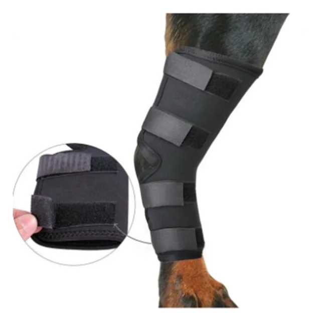 Wholesale Good Quality  Dog Leg Protector Hock Sleeve Neoprene Canine Dog Knee Support Brace for dogs