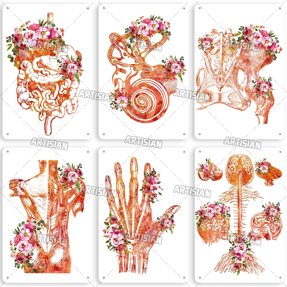 Artisian Anatomy Metal Poster Medical Tin Sign Hospital Decorative Plaque Clinic Organ Dentisit Wall Decor Garage Bar Pub Club view 3