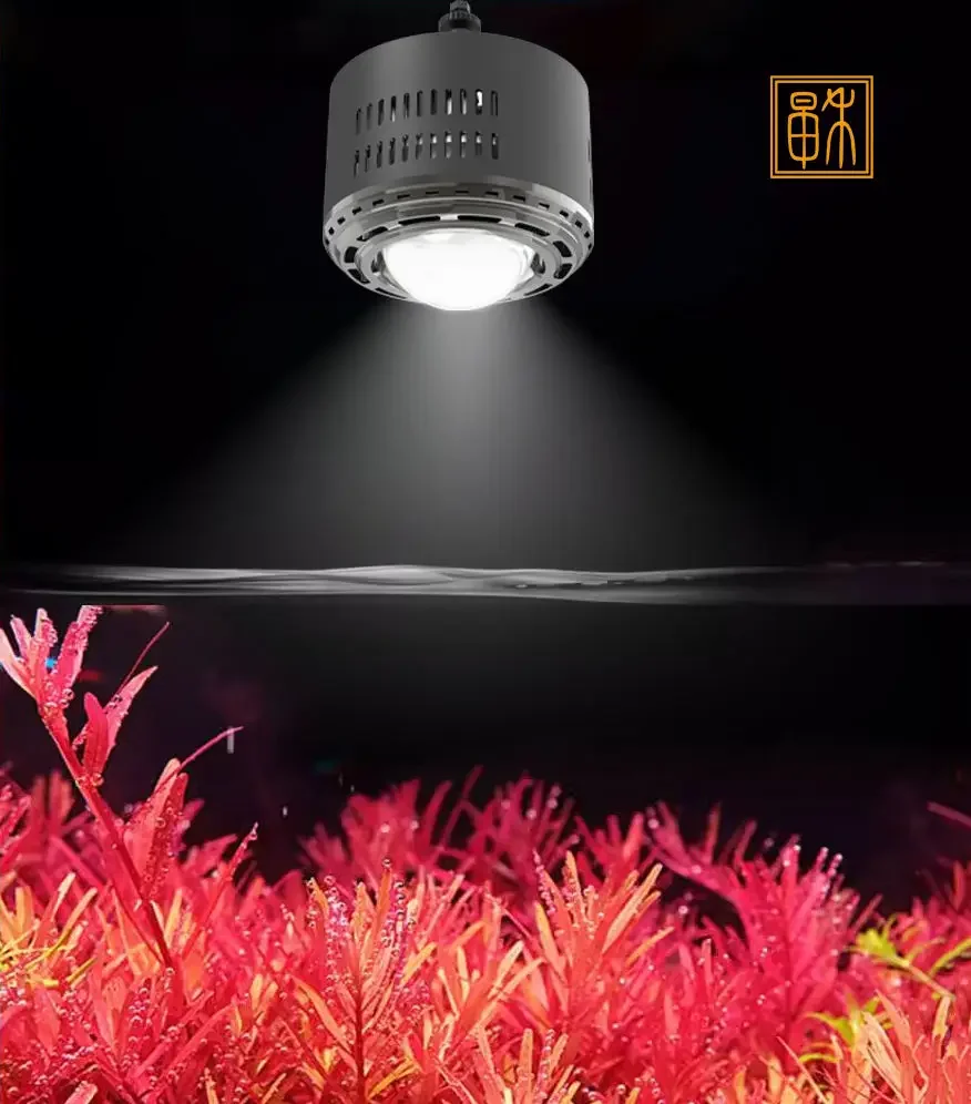 Zaohetian DC24V Dimming led aquarium downlight high power fish tank led downlamp 100W Adjustable height