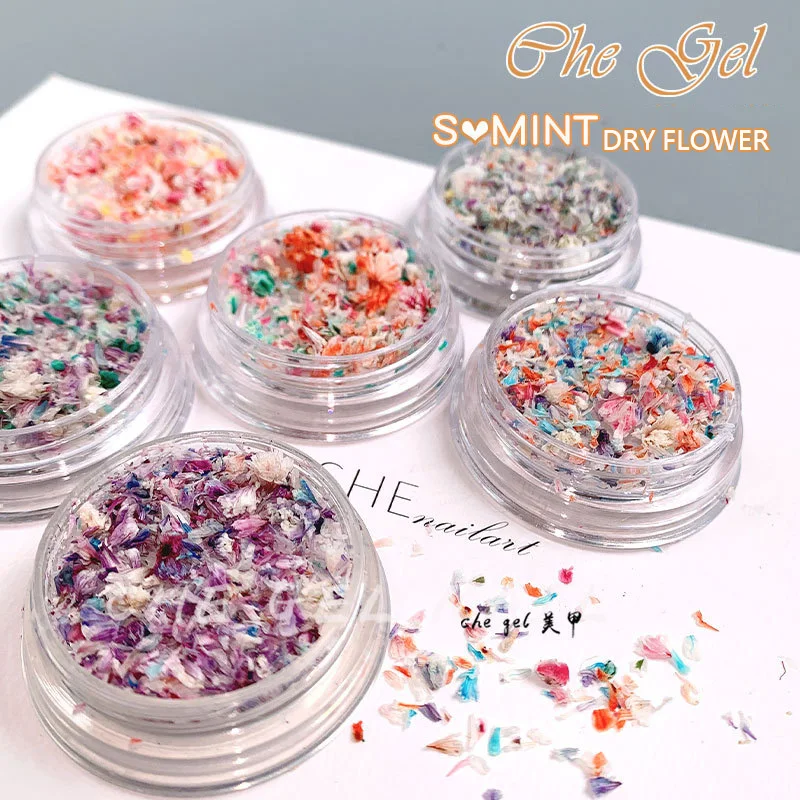 TSZS Nail Art DIY Decorations Japanese Style  UV Gel Dried Flower For Nails Art Jewelry Charms Flower Beauty Salon Decos