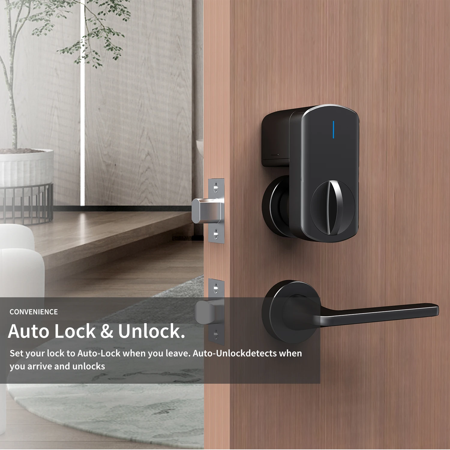 Locstar Security Electronic Cerradura Inteligente Password Number Digital Deadbolt Smart Exterior Door Lock