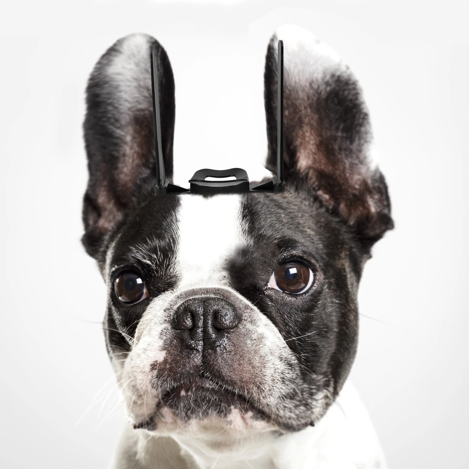 

Ear Erector Dog Ear Stand Up Support Puppy Accessory Dog Supply Posting Kit Pet Supply Durable Smooth Safe Fit