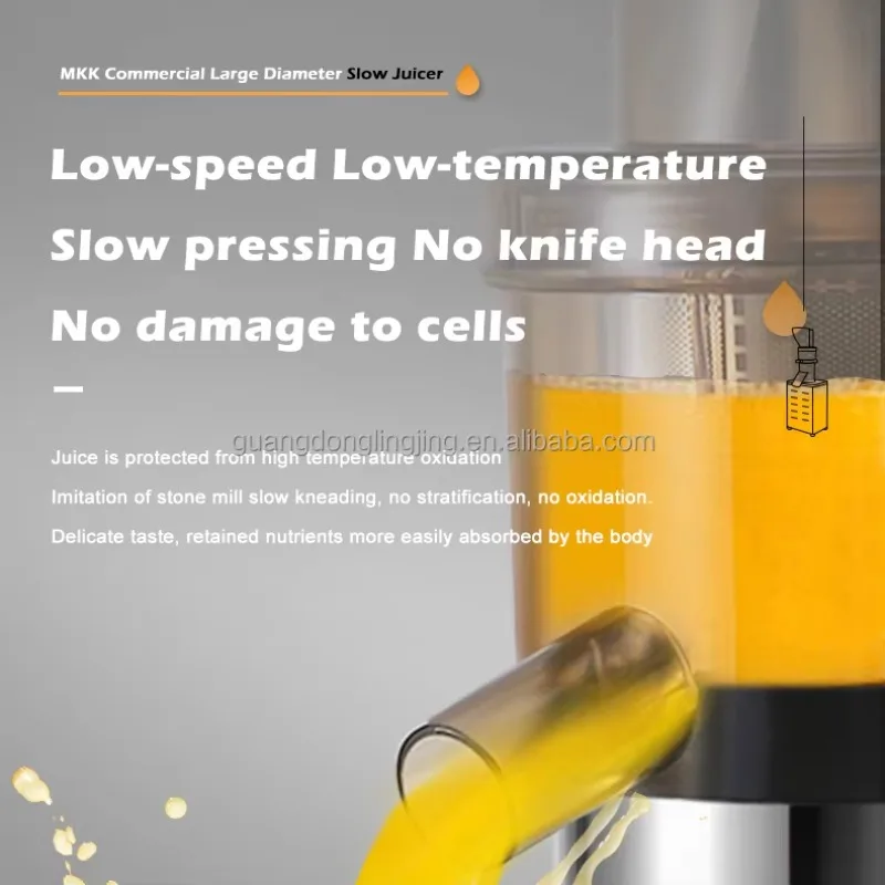 1200W Stainless Steel No Need Cutting Auto Feeding Big Mouth Inlet Cold Press Slow Juicer Machine for Commercial