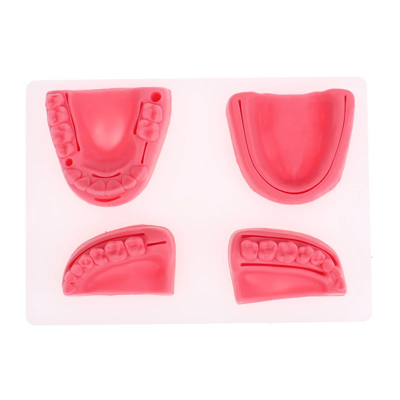4-teiliges Dental-Simulationsmodell für Mundnaht, Zahnfleisch-Naht-Trainingsausrüstung – Detail 1