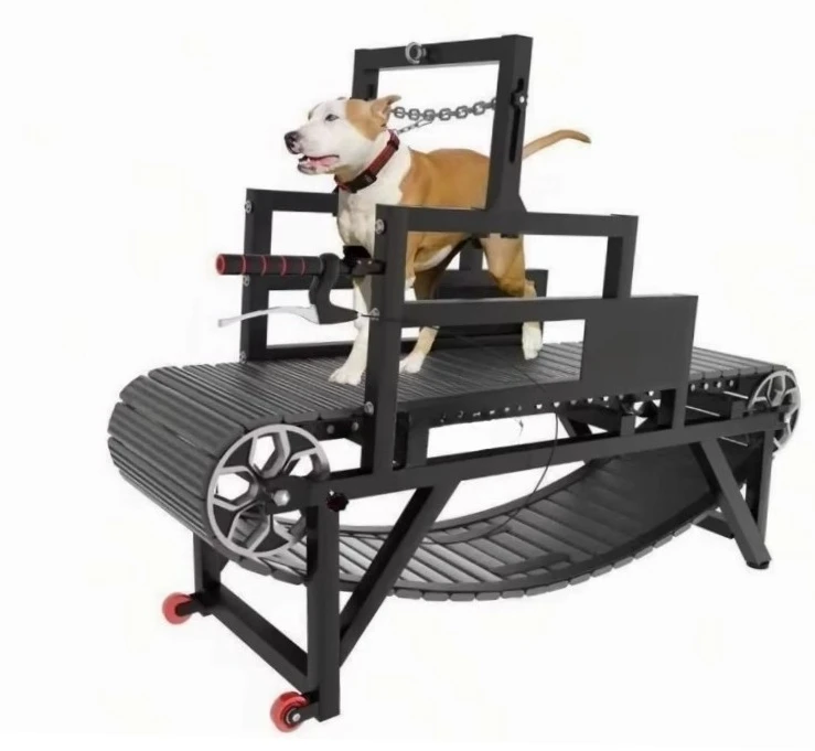 

Foldable Dog Treadmill, Adjustable Speed for Rehab & Training