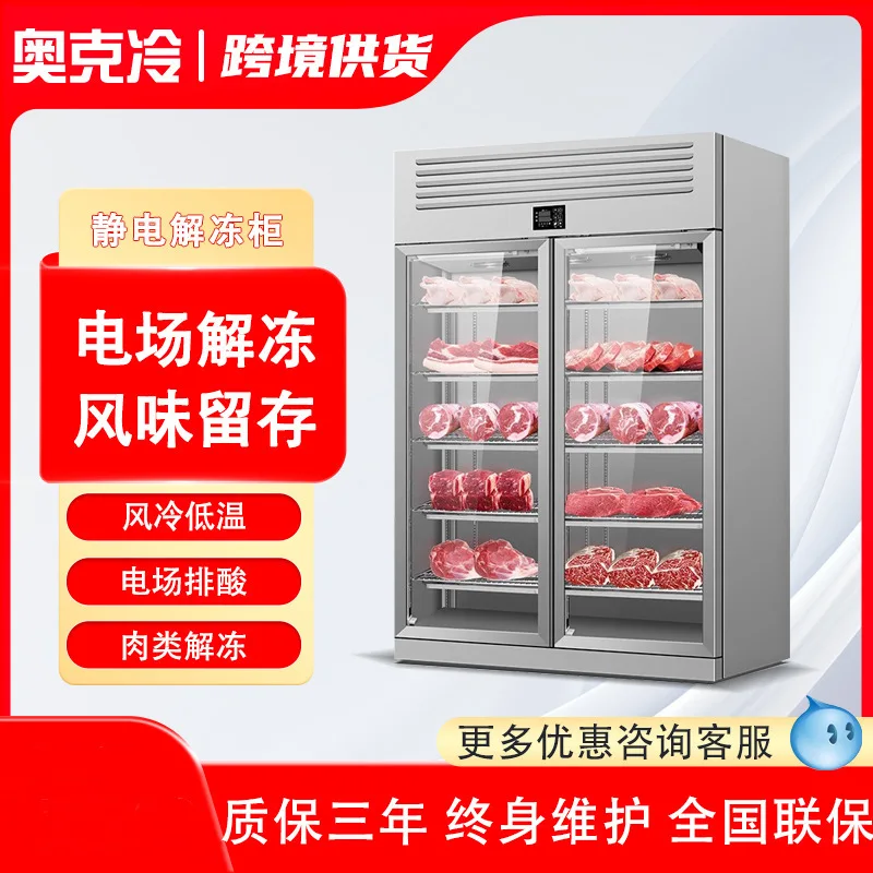 Aoke Cold Thawing Cabinet Commercial High Voltage Electrostatic Low Temperature High Humidity Refrigeration Slowing and Bovine A