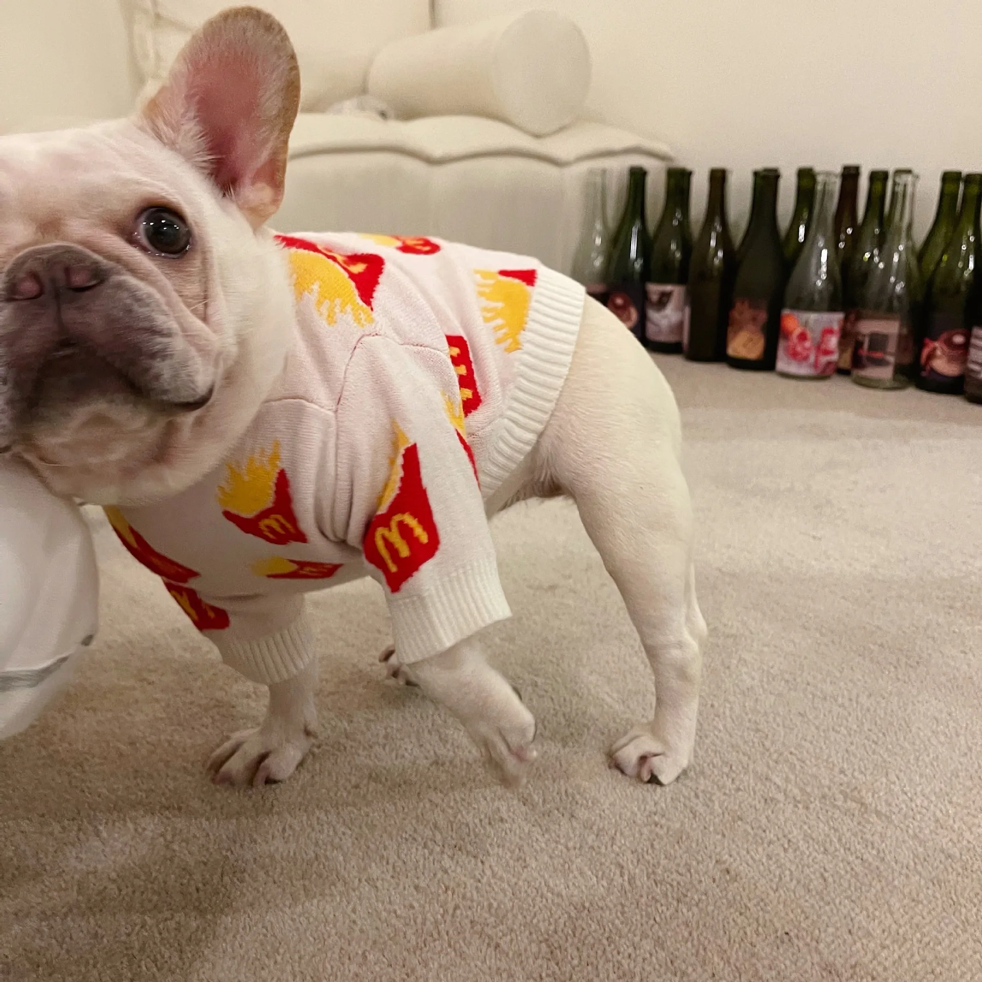 MPK French Fries Sweater Dog Clothes New Series Dog Cute Fries Sweater Also Suitable For Cat