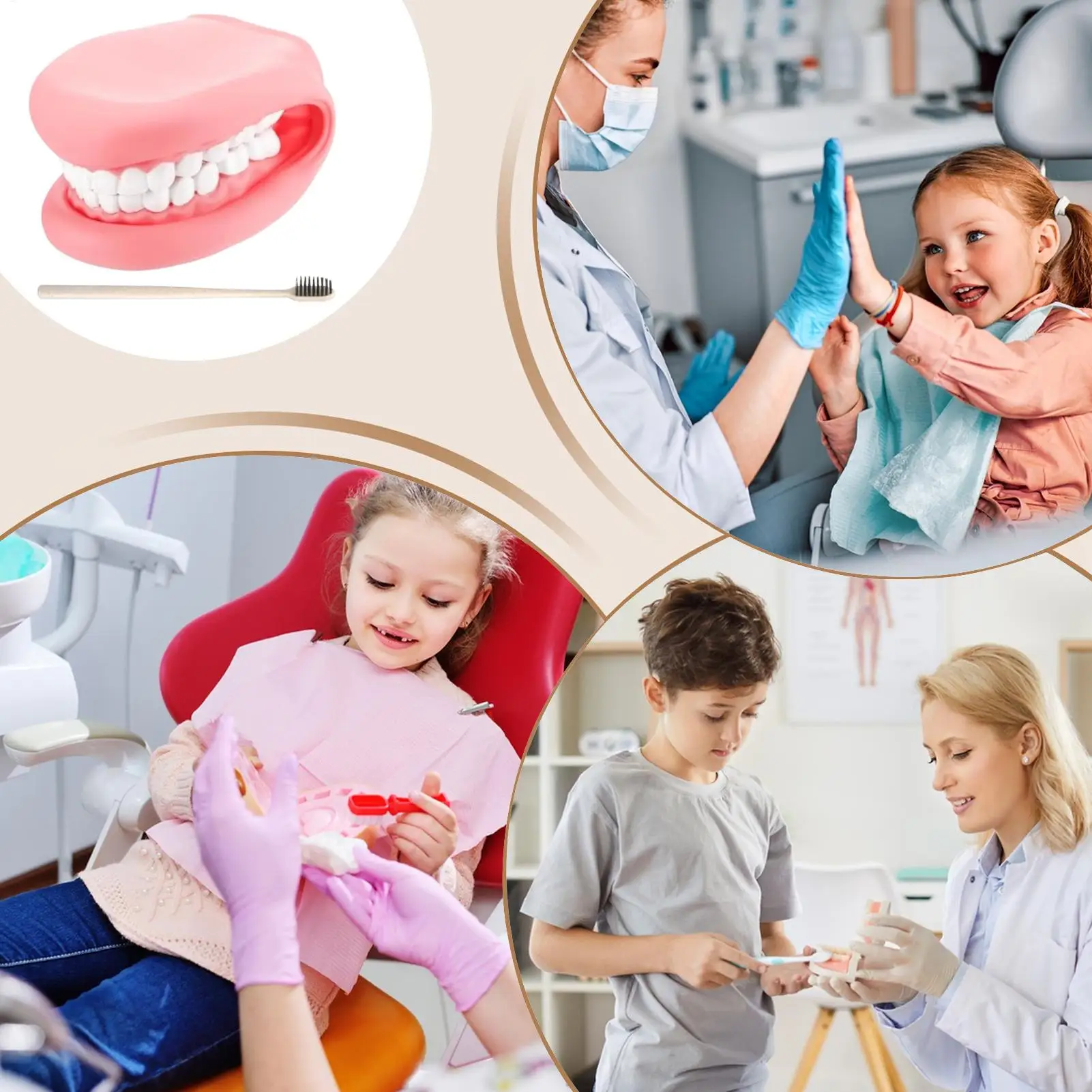 أطفال دمى اليد البلاستيكية المنقولة نموذج طب الأسنان لعبة تعليمية دمية الاصبع للأطفال المنزل السفر مدرسة رياض الأطفال