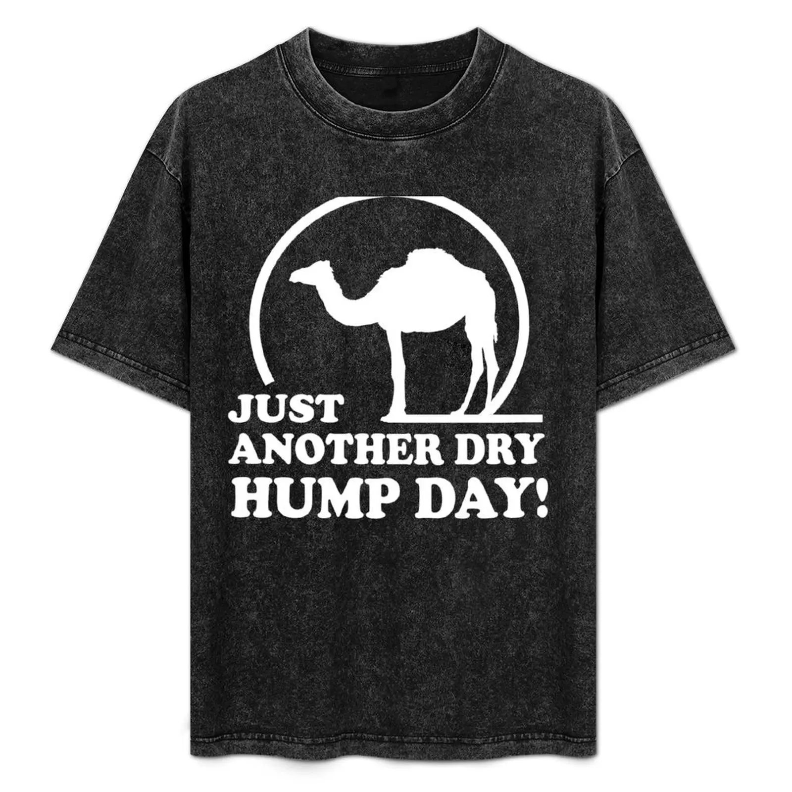 Just Another Dry Hump Day T-Shirt for a boy blue archive vintage anime shirt men clothings