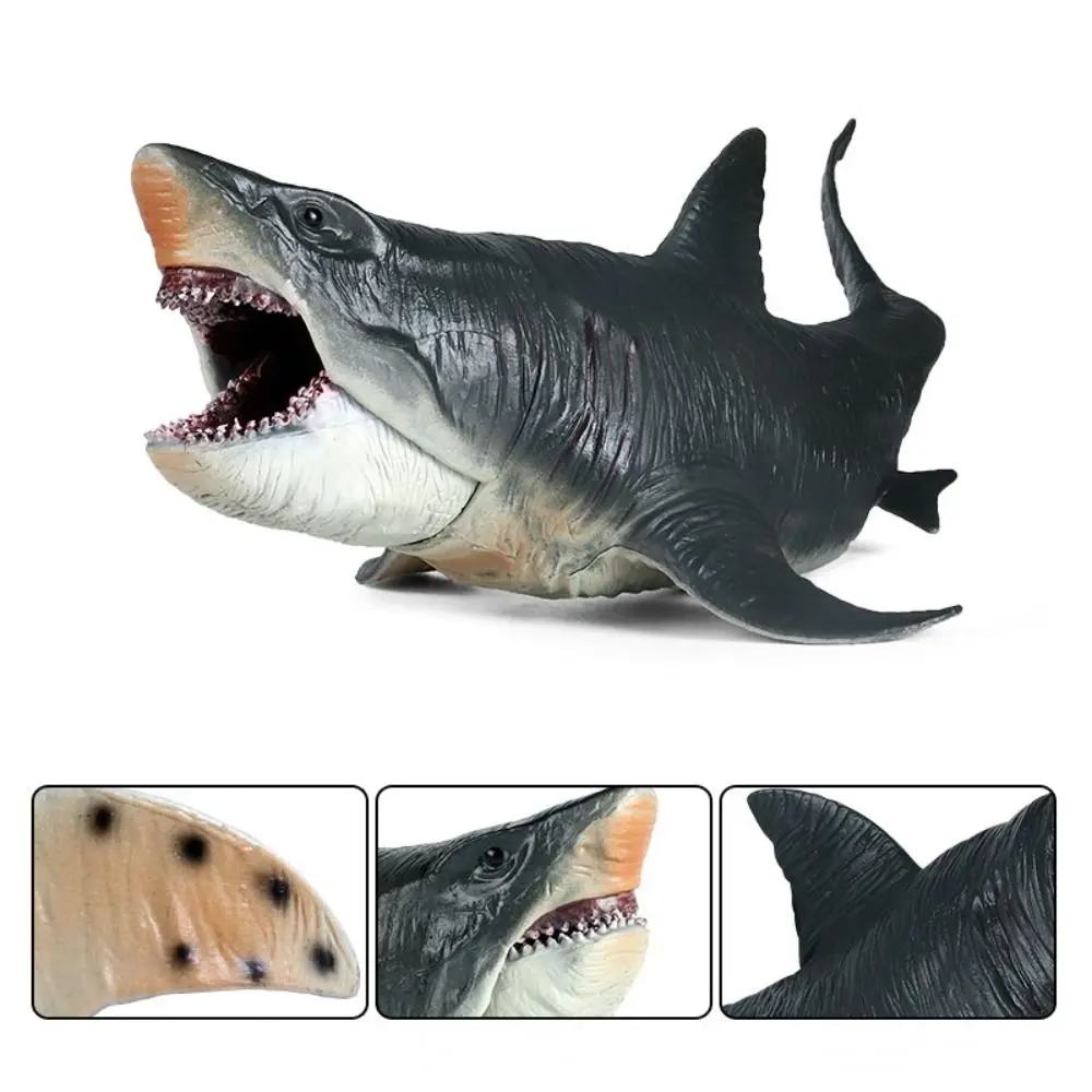 Simulation Megalodon Action Figure Movable Jaw Marine Life Ocean Animals Model Educational Sea World Big Shark Figure