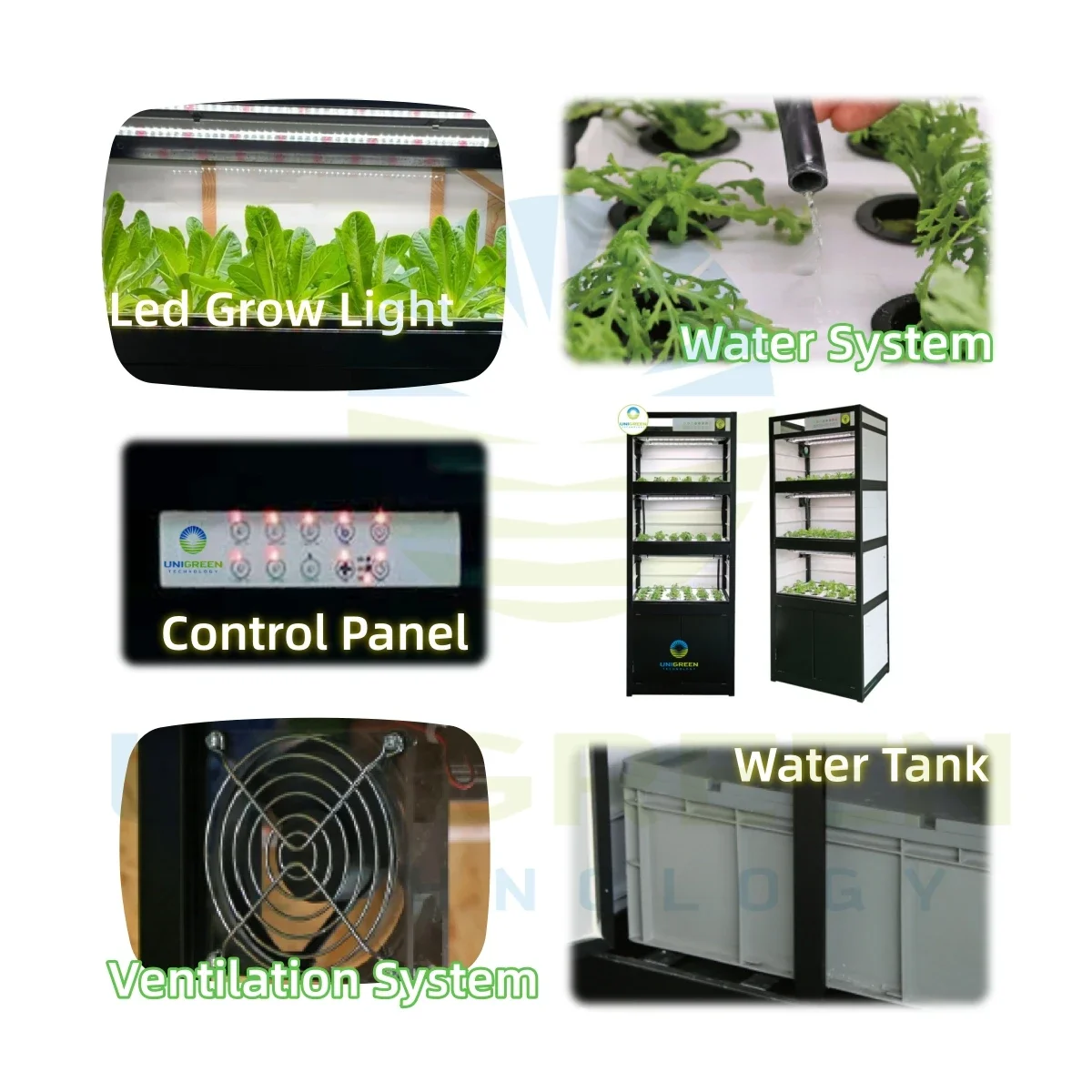 Hydroponic System Vertical Cabinet Deep Water Kit Customized Modular Movable Planting Kit for Lettuce Office and Greenhouse